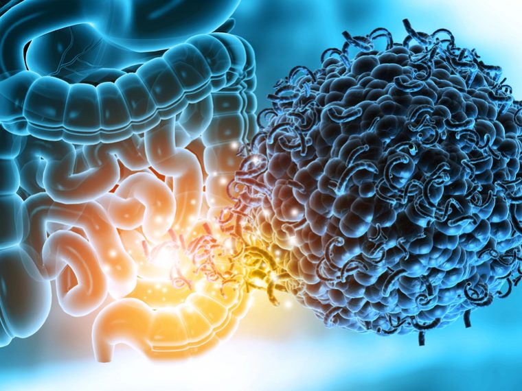 Microbiomul intestinal